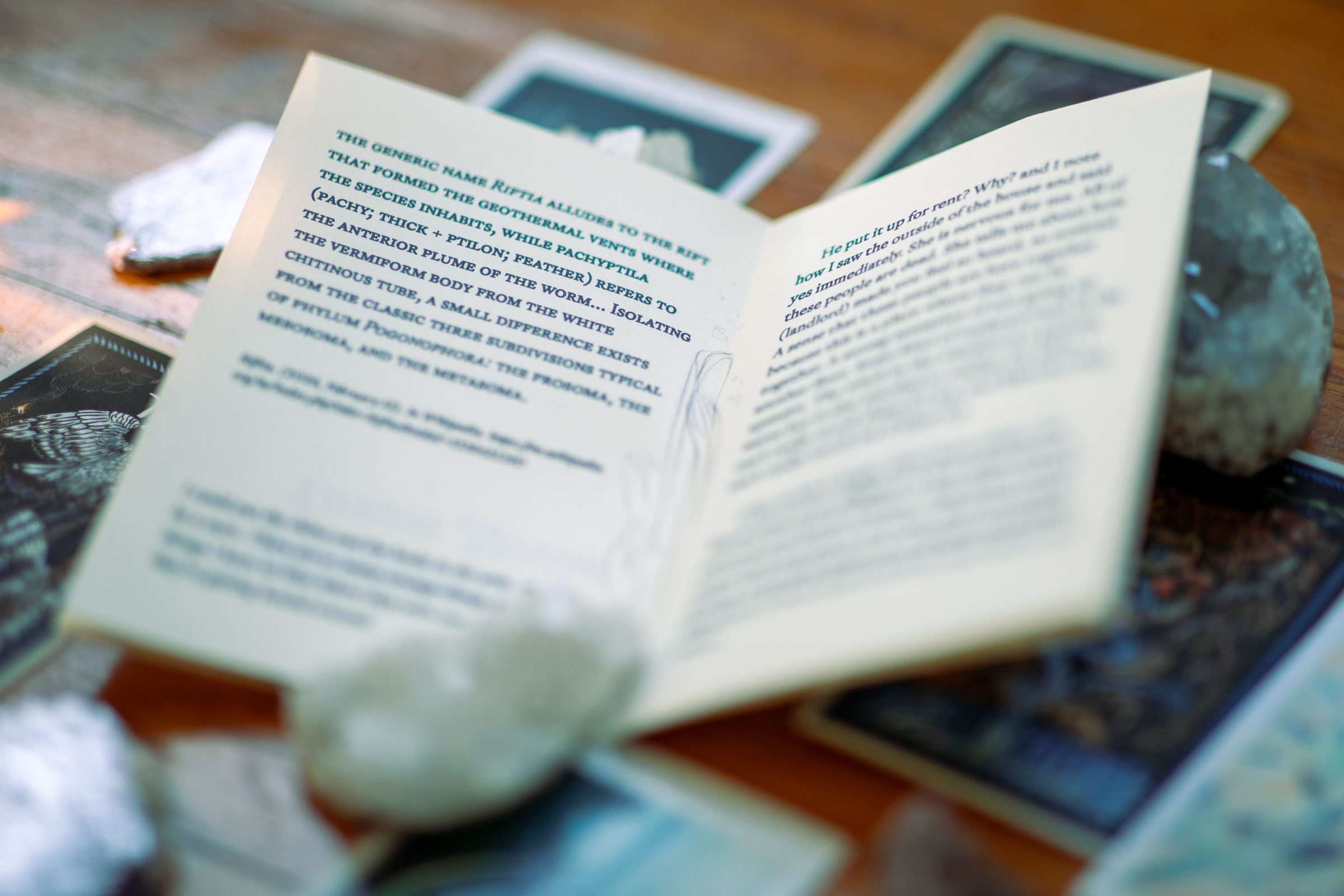 A tiny, cream-colored book lies open on the floor, propped open by a white apophylite crystal and leaning on a pale blue celestite. It is mostly out of focus, the edges of everything appearing slightly blue in the pale sunlight.